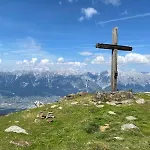 Habicht Innsbruck
